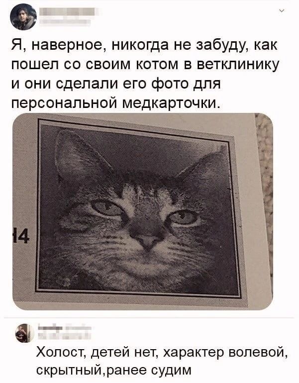 Я наверное никогда не забуду как пошел со своим котом в веткпинику и они сделали его фото для персональной медкарточки Холост детей нет характер волевой скрытныйранее СУДИМ