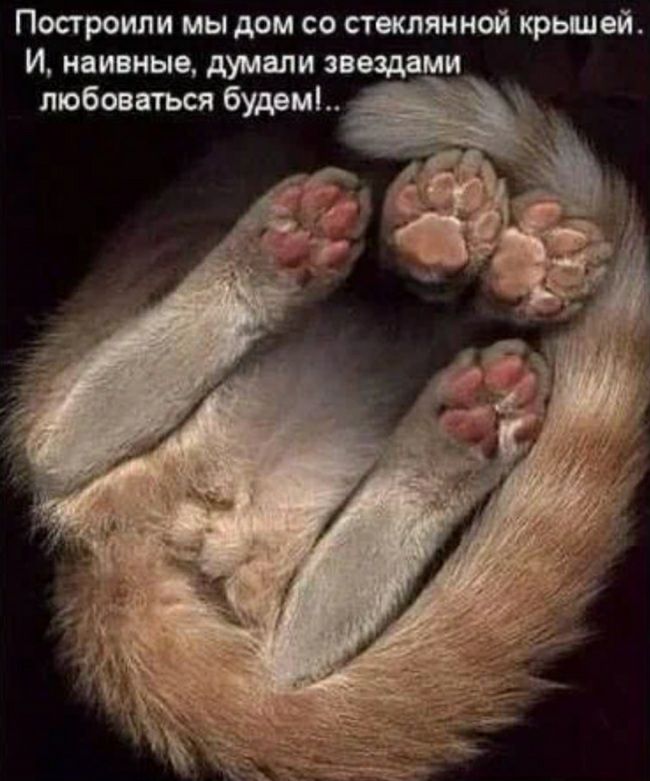 Посгроипи мы дом со стеклянной крьшвй И наивные думали звездами любовгпься будрм