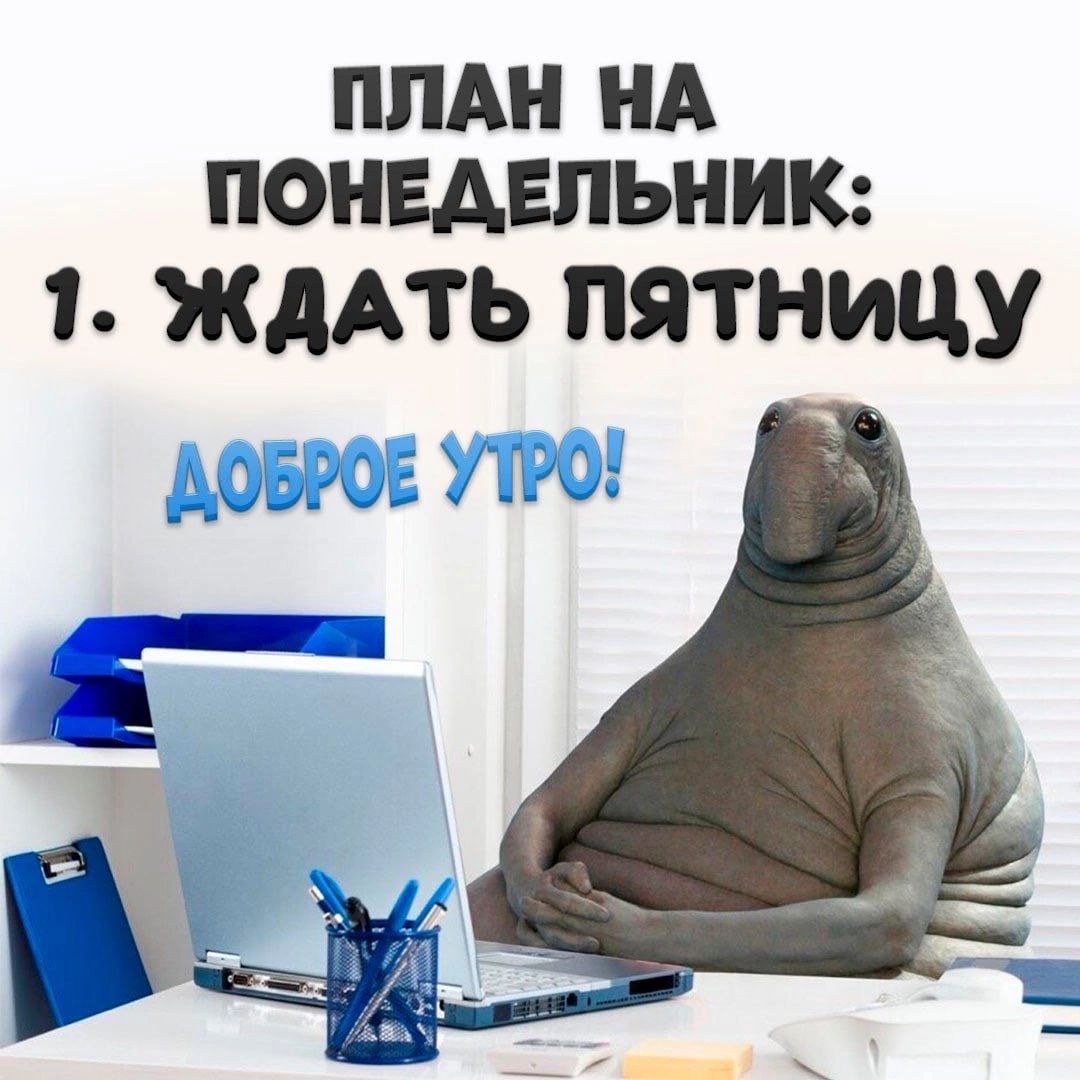 ПЛАН НА ПОНЕАЕЛЬНИК 1 ждАть пятницу