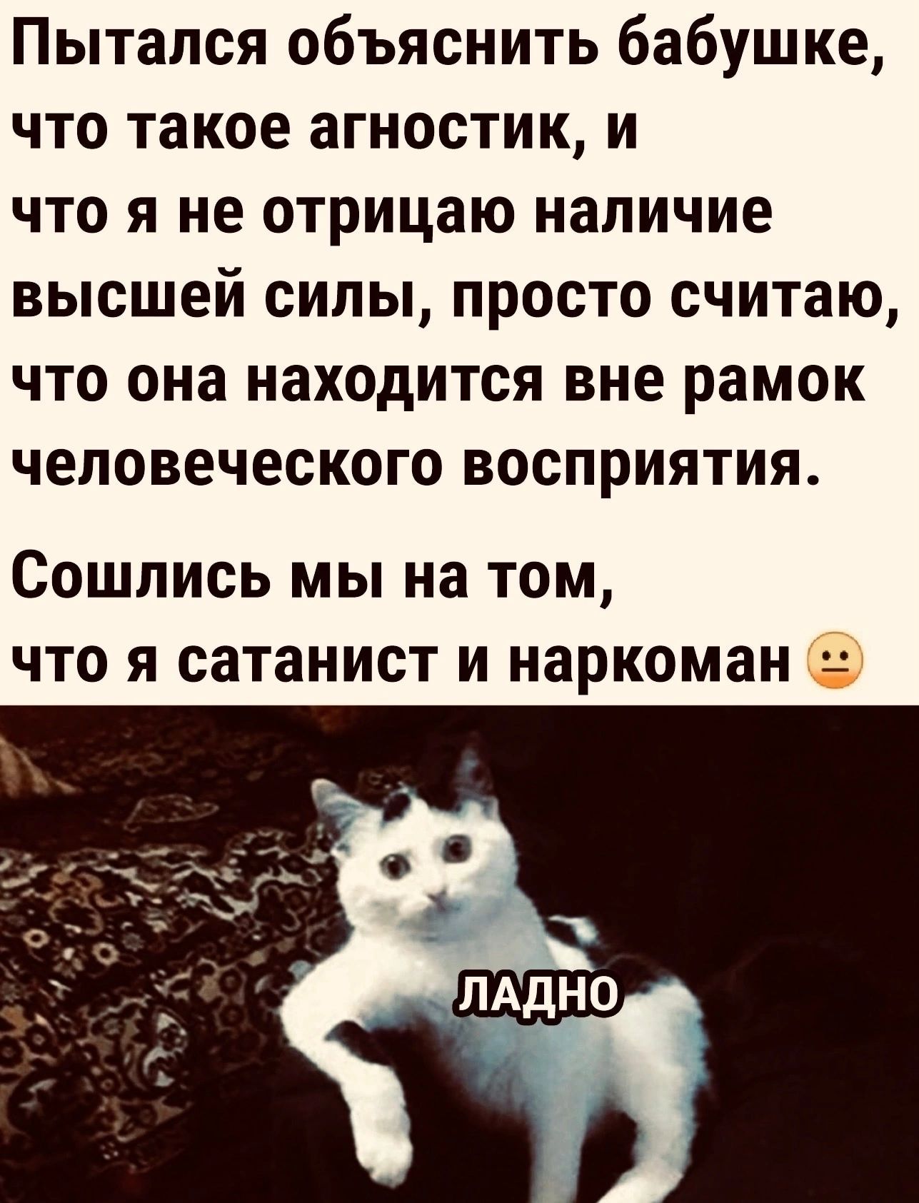 Пытался объяснить бабушке что такое агностик и что я не отрицаю наличие высшей силы просто считаю что она находится вне рамок человеческого восприятия СОШЛИСЬ МЫ на ТОМ ЧТО Я СЗТЗНИСТ И наркоман Бу