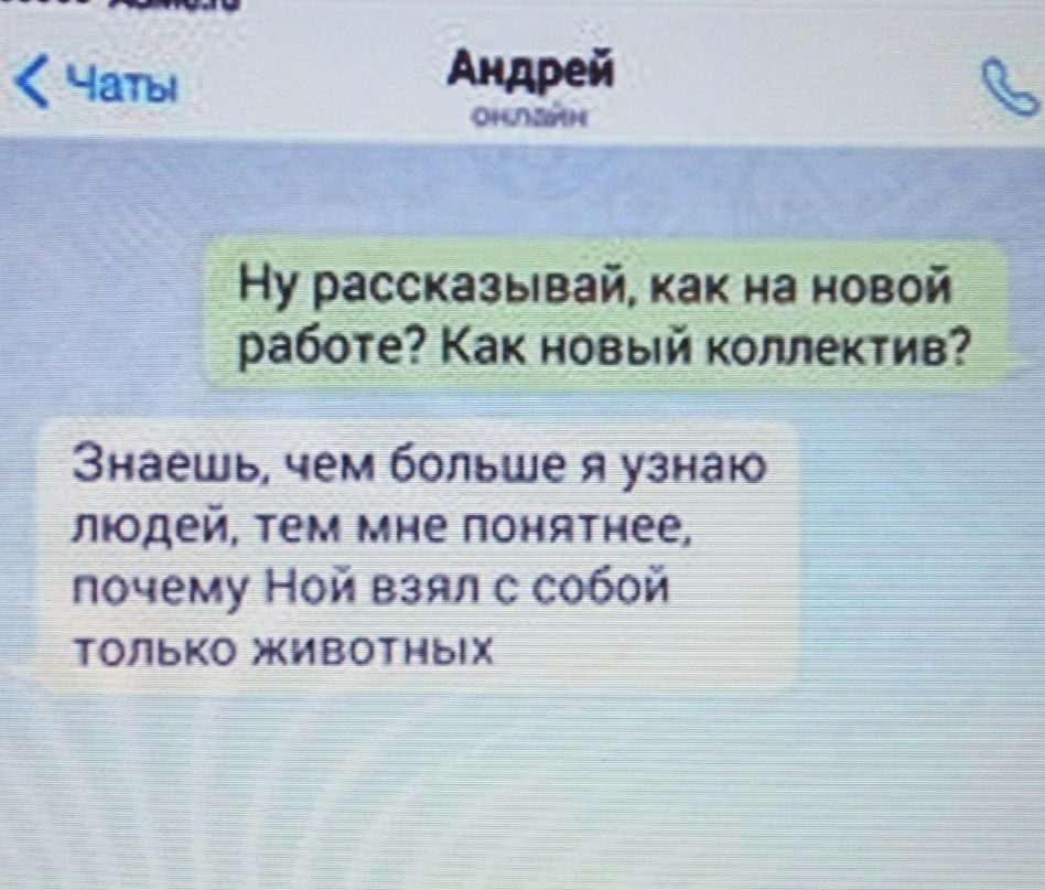 Ну рассказывай как на новой работе Как новый коллектив Знаешь чем больше я узнаю людей тем миг понятнее почему Ной взял с собой только животных