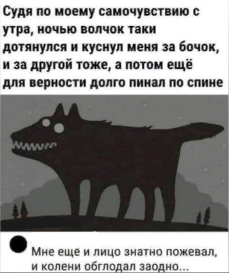 Судя по моему самочувствию утра ночью волчок таки дотянулся и куснул меня за бочек и за другой тоже а потом ещё для верности долго пинал по спине Мне еще и лицо знатно пожевал и колени обгпо ап заодн