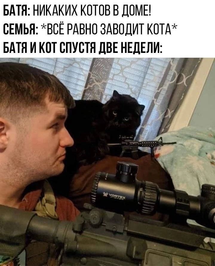 БАТЯ НИКАКИХ КПТОВ В дОМЕ СЕМЬЯ ВВЁ РАВНО ЗАВОЦИТ КОТУ БАТЯ И КОТ СПУСТЯ ЦВЕ НЕДЕЛИ
