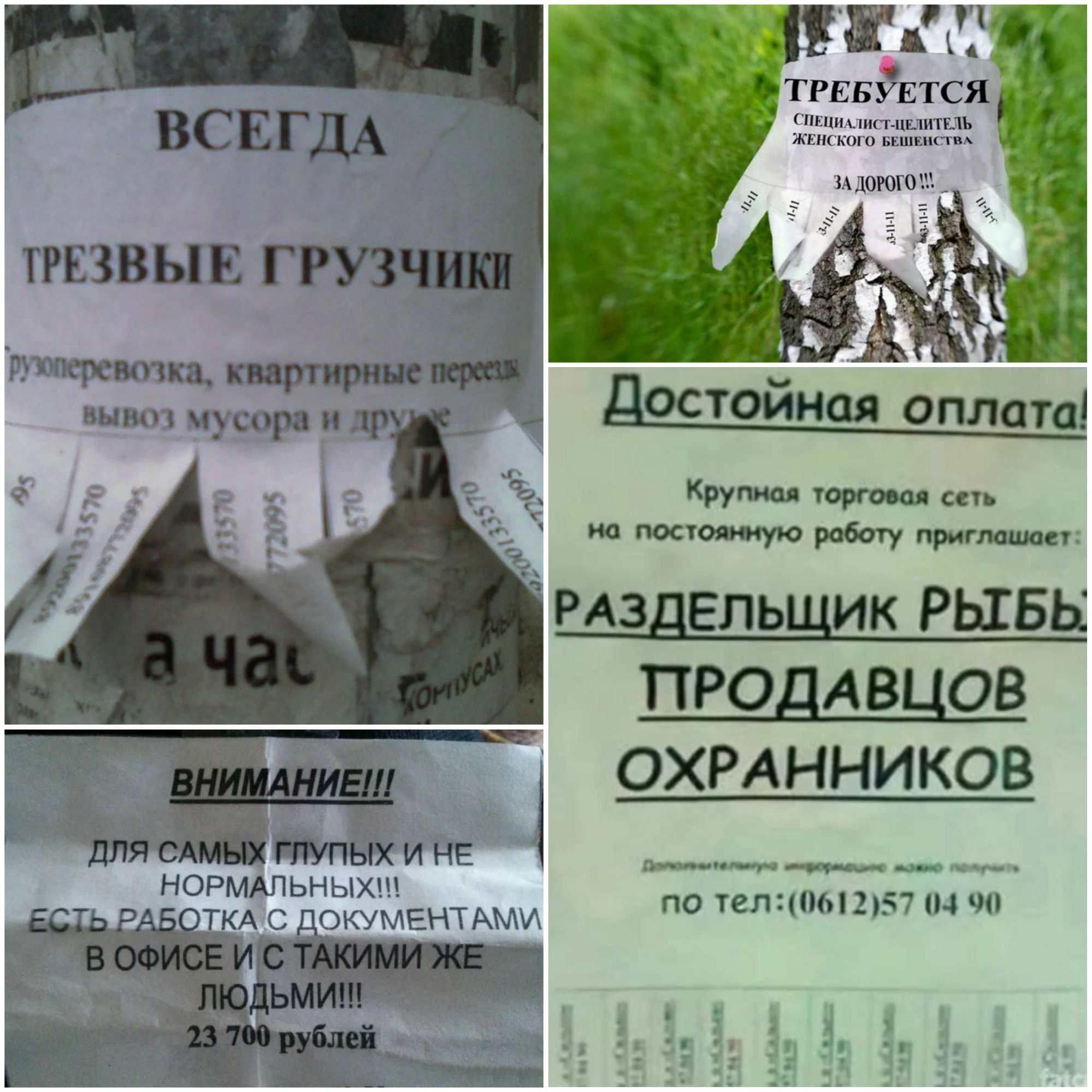 ВСЕГДА ПЕ ЗВЫ Е ГРУЗ тпюпа кцтирцщ и ра п остойнал оплата Коул ш шп м мм пыщ РАЗДЕЛЬЩЦК РЫБЫ ПРОДАВЦОВ ЁЁ _ХРАННИКОВ тпыхипг по 7211 тым ип