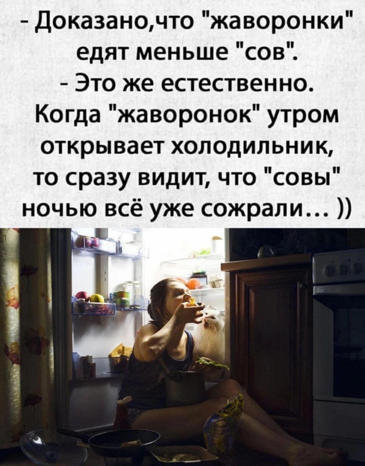 Доказаночто жаворонки едят меньше сов Это же естественно Когда жаворонок утром открывает холодильник то сразу видит что совы ночью всё уже сожрали