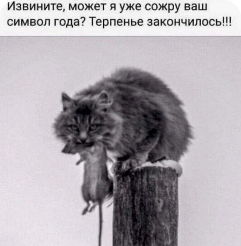 Извините может я уже сожру ваш символ года Терпенье закончилось