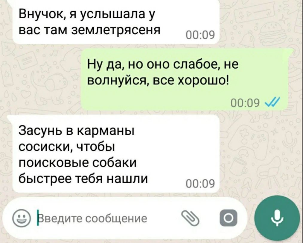 Внучок я услышала у вас там землетрясемя 00 09 Ну да но оно слабое не волнуйся все хорошо 0009 Засунь в карманы сосиски чтобы поисковые собаки быстрее тебя нашли 09 ьведитесообщение