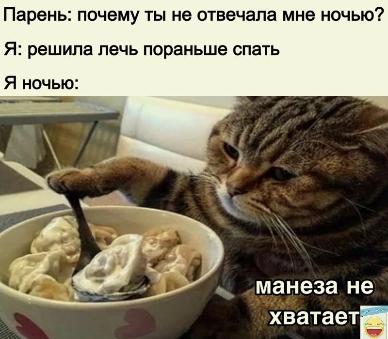 Парень почему ТЫ не отвечала мне НОЧЬЮ Я решила печь пораньше спать Я ночью манеза не хватаетБ
