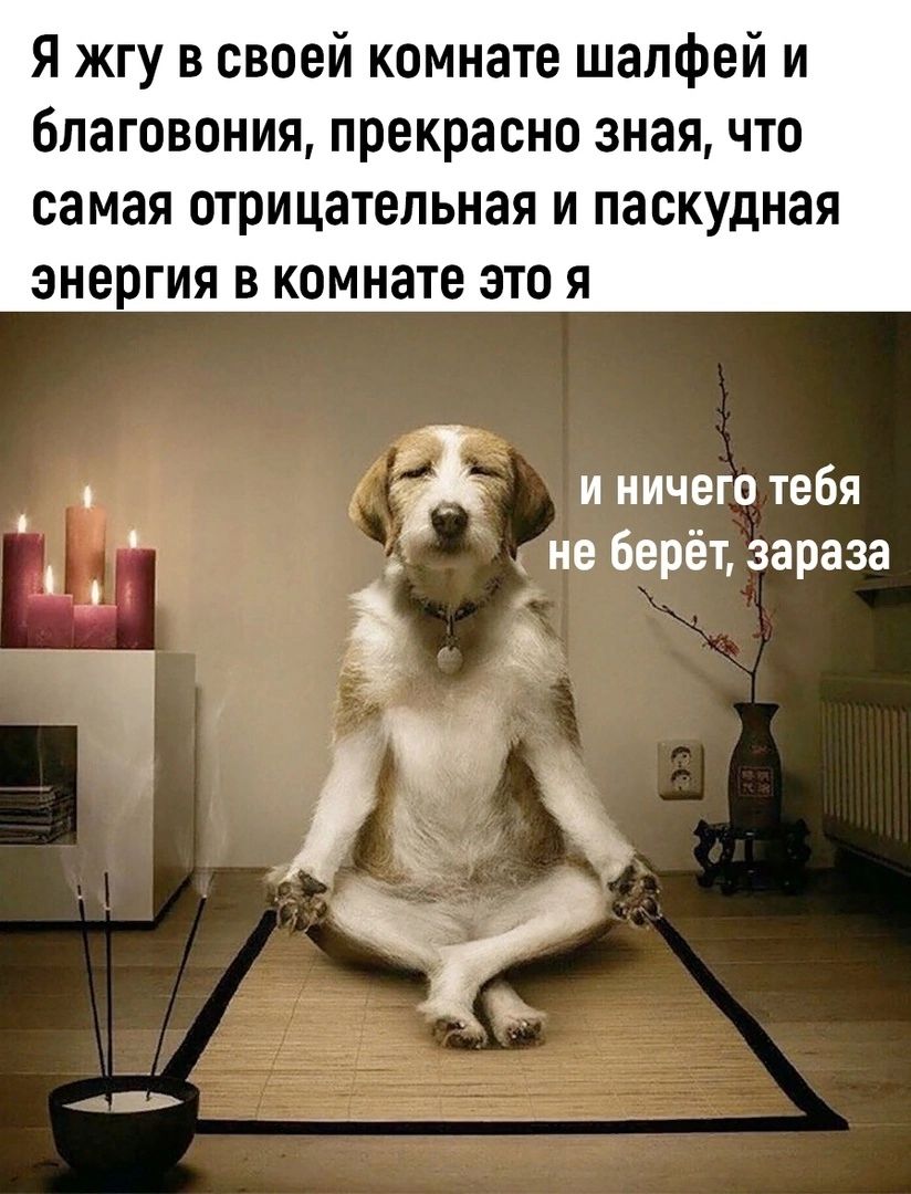 я жгу в своей комнате шалфей и благовония прекрасно зная что самая отрицательная И ПЭБКУДНЗЯ энергия В комнате ЭТО Я и ничего тебя не берёт зараза 11
