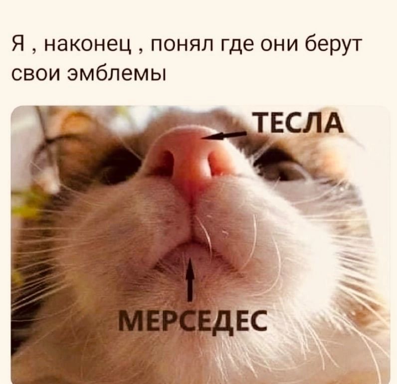 Я наконец понял где они берут свои эмблемы