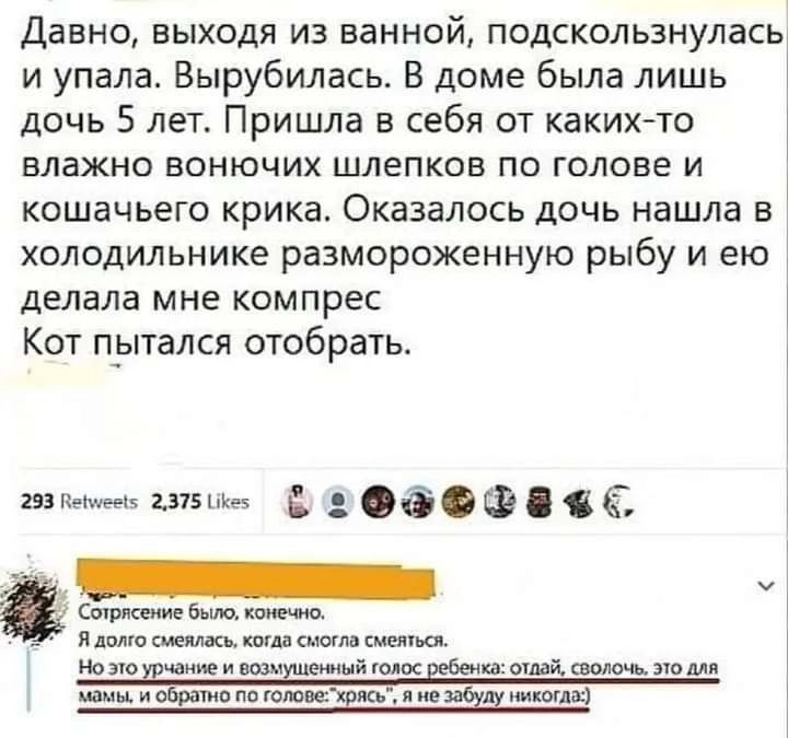 Давно выходя из ванной подскользнулась и упала Вырубилась В доме была лишь дочь 5 лет Пришла в себя от какихто влажно вонючих шлепков по голове и кошачьего крика Оказалось дочь нашла в холодильнике размороженную рыбу и ею делала мне компрес Кот пытался отобрать 1 боф 6 сь ч ь