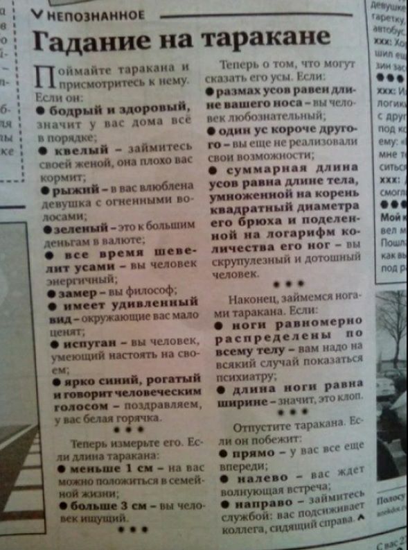 мыслит Гадание на таракане пв т мт ъ ш ноци пт п на от яиц м п ппапщ М _ там _ ш и Ми при ці ди нм но и Апшшпип пир цы дми пп ппу ш и псд пд слуни пн д япп р и яи мж Стив уп и ци ишува дтп _ и ми т и _ пунш шпик _