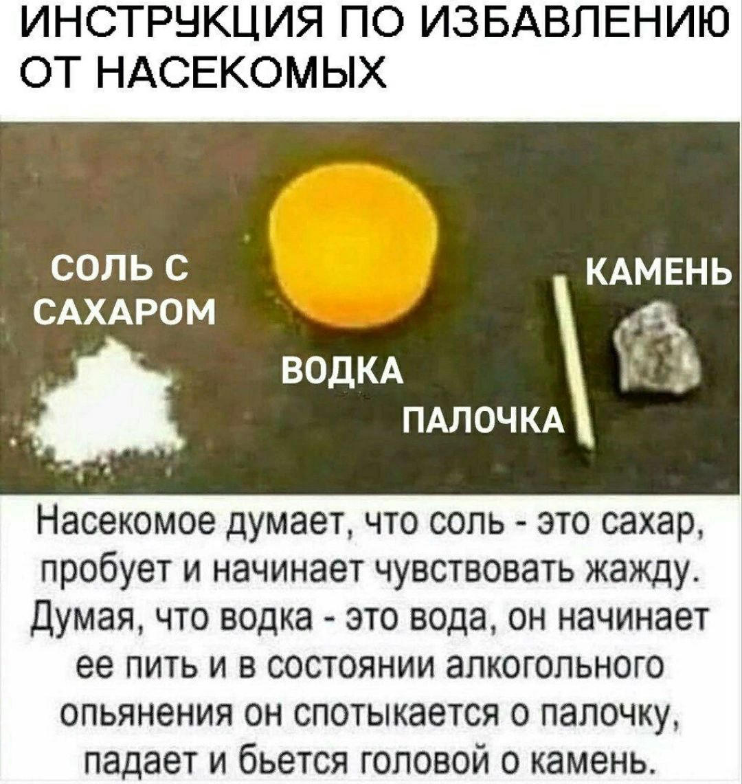 ИНСТРНКЦИЯ ПО ИЗБАВПЕНИЮ ОТ НАСЕКОМЫХ КАМЕНЬ САХАРО ВОДКА ПАЛОЧКА Насекомое думает что соль это сахар пробует и начинает чувствовать жажду думая что водка это вода он начинает ее пить и в состоянии алкогольного опьянения он спотыкается о палочку падает и бьется головой о камень