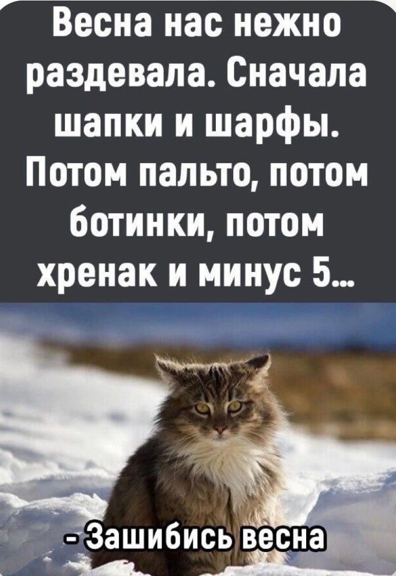 раздавала Сначала шапки и шарфы Потом пальто потом ботинки потом хренак и минус 5 4 Зашибисьвесна