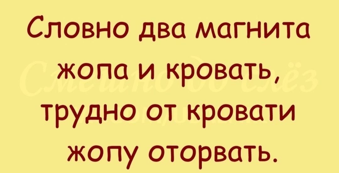 Карта кровати по версии кота картинки