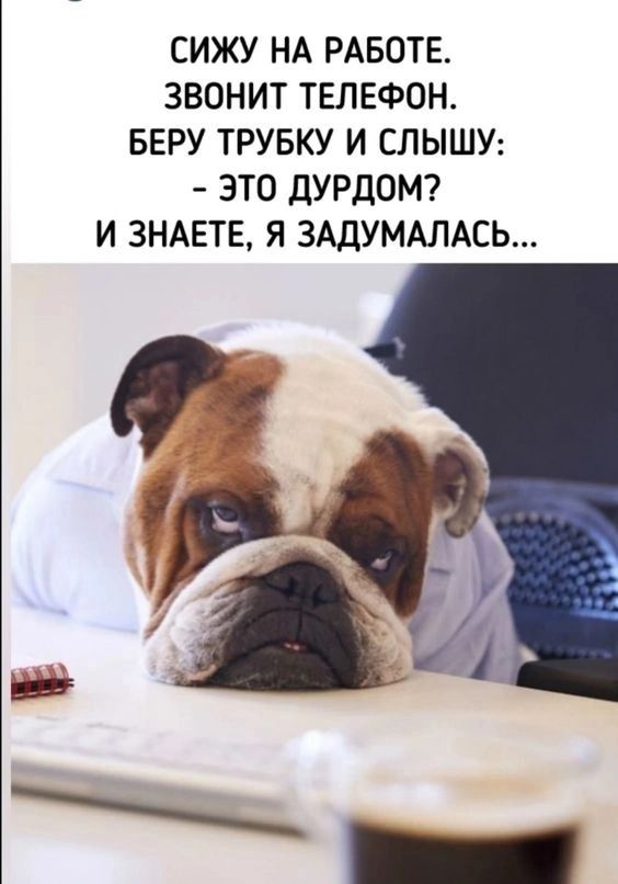 СИЖУ НА РАБОТЕ ЗВОНИТ ТЕЛЕФОН БЕРУ ТРУБКУ И СЛЫШУ ЭТО ДУРДОМ И ЗНАЕТЕ Я ЗАДУМАЛАСЬ