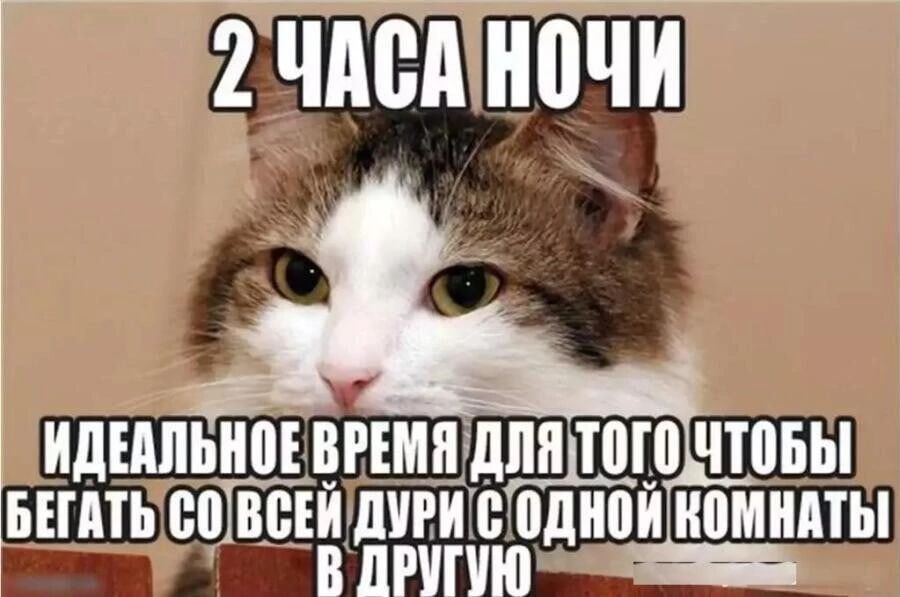 ЕЙВППЧП ИДЕАПЫПЕВРЕМШДШЩЁ ЧТПБЫ ЫППЬ БПШЁЕЁЁЁННДНПИ НПМНМЫ