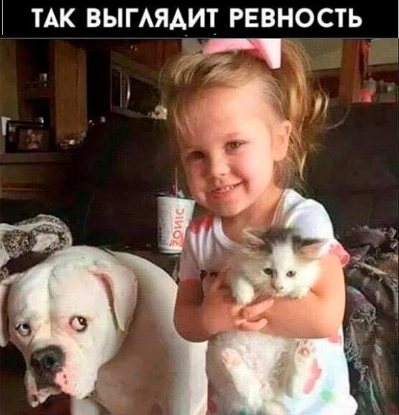 ТАК выгАяд_ит ревность _