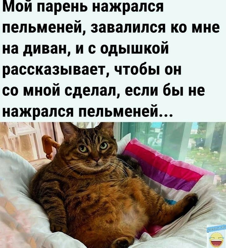 Мой парень нажрался пельменей завалился ко мне на диван и с одышкой рассказывает чтобы он со мной сделал если бы не нажрался пельменей