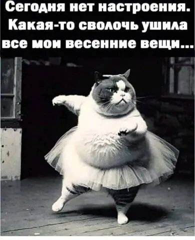 Сегодня нет настроения Какая то сволочь ушш все ион весенние вещи