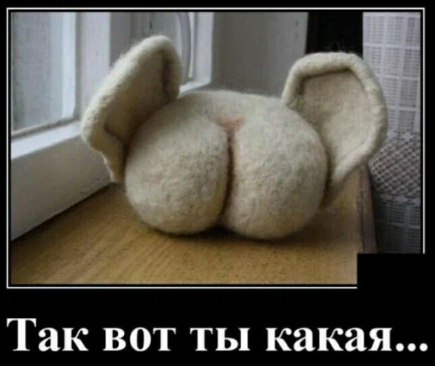 _________ _ _4 Так вот ты какая