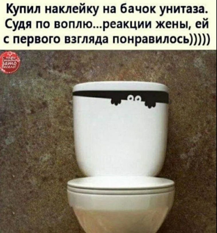 Купил наклейку на бачок унитаза Судя по воплюреакции жены ей с первого взгляда понравилось
