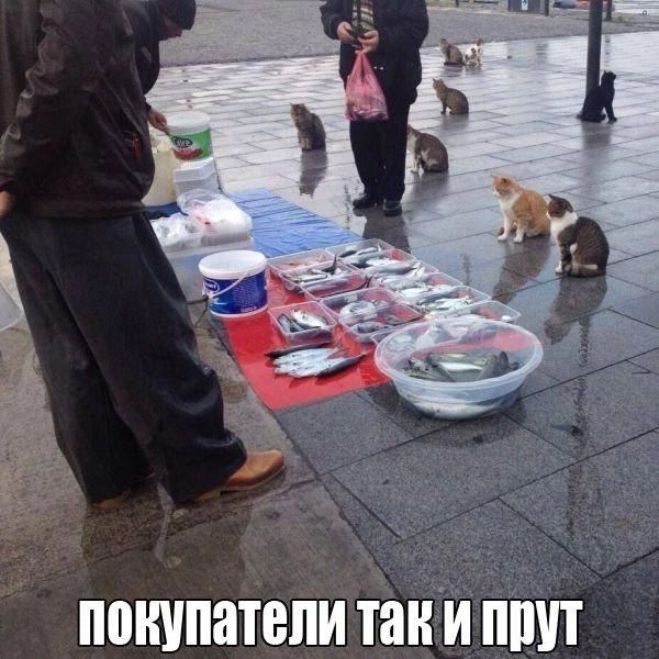 покупатели тани ПМТ