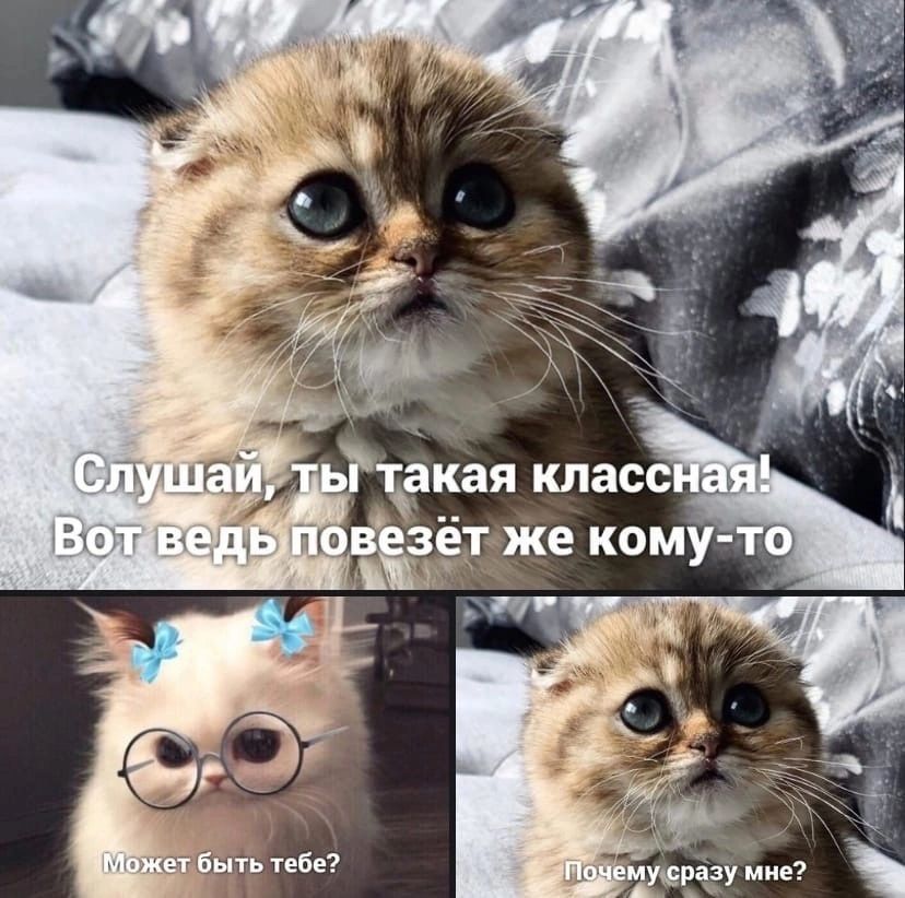 лу нРу Вотвеле мусразу мне