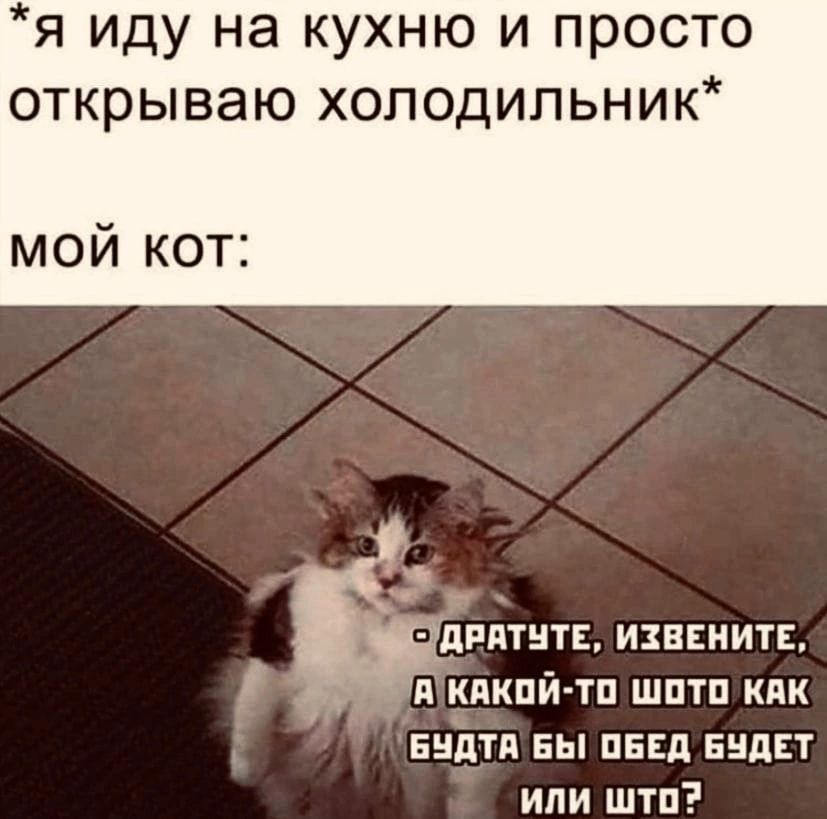 Я ИДУ НЭ КУХНЮ И ПРОСТО ОТКРЫВЭЮ ХОЛОДИЛЬНИК мой кот длятнтЕ извените и кпкпй тп шптп как выйти вы пнд выдвт или штп