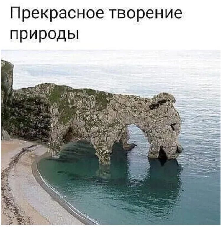 Прекрасное творение природы