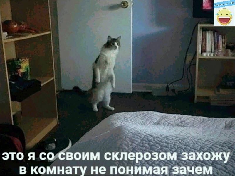 это я соёоиме В КОМ