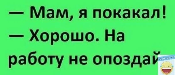 Мам я покакал Хорошо На работу не опоздаі