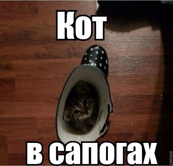 ОСВЕ оЩ В сапогах