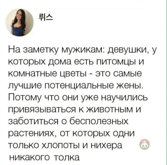 от На заметку мужикам девушки у которых дома есть питомцы и комнатные цветы это самые лучшие потенциальные жены Потому что они уже научились привязываться к животным и заботиться о бесполезных растениях от которых одни только хлопоты и нихера никакого толка