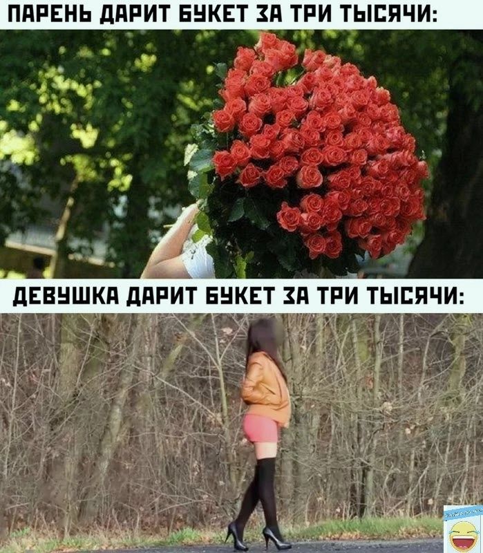 ПППЕНЬ дПРИТ ЕНКЕТ ЗП ТРИ ТЫСЯЧИ