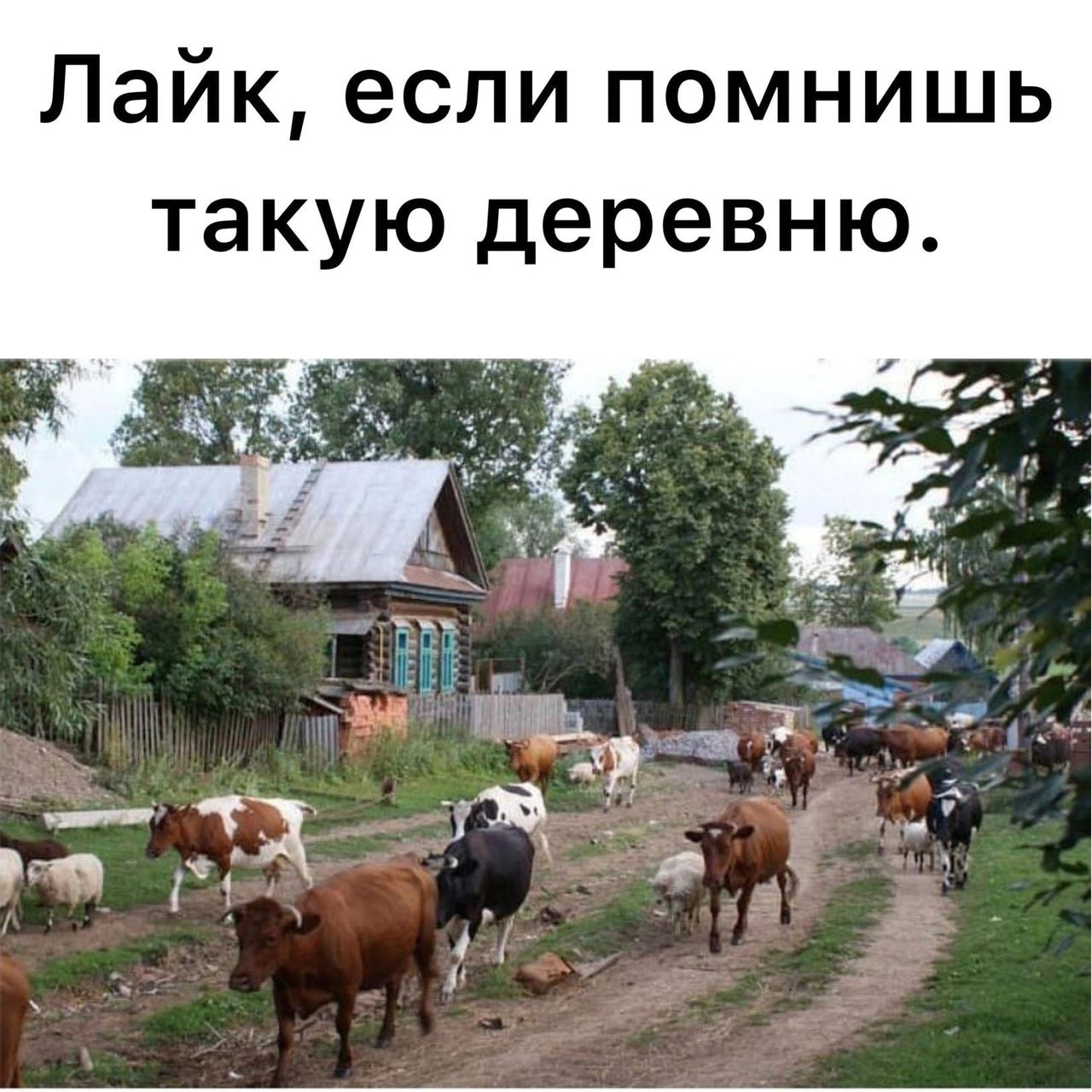 Лайк если помнишь такую деревню