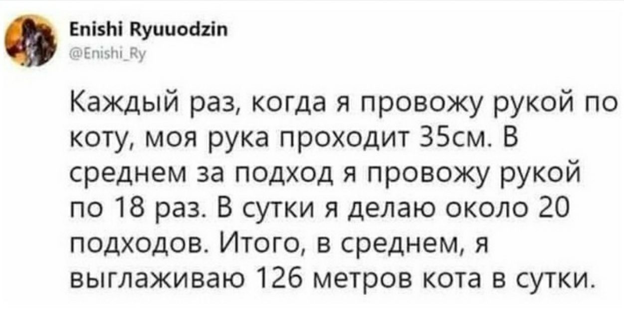 Епізм Купити Каждый раз когда я провожу рукой по коту моя рука проходит ЗБсм В среднем за подход я провожу рукой по 18 раз В сутки и делаю около 20 подходов Итого в среднем я выглаживаю 126 метров кота в сутки