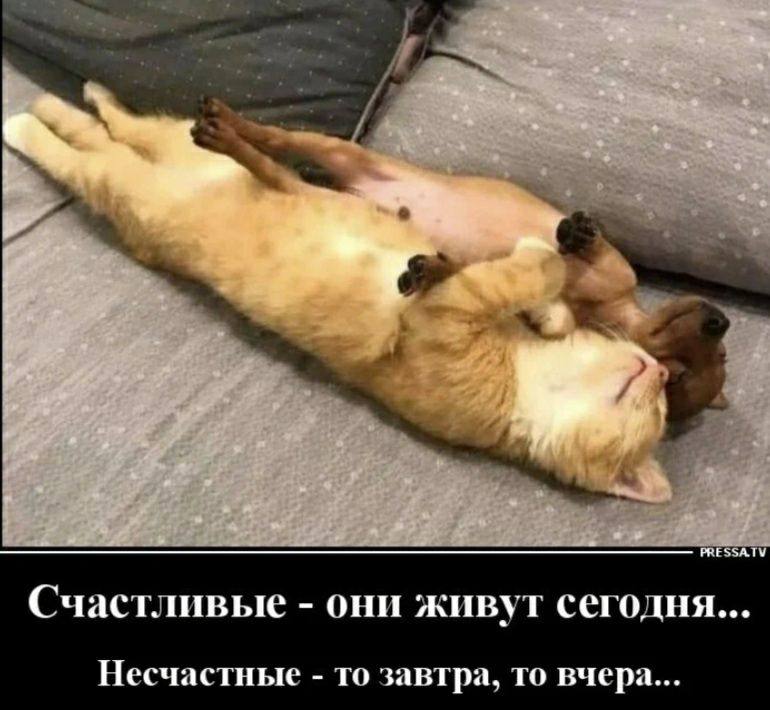 СЧВСТЛПВЬЦС Они живут СЕГОДНЯ Несчастные то завтра то вчера