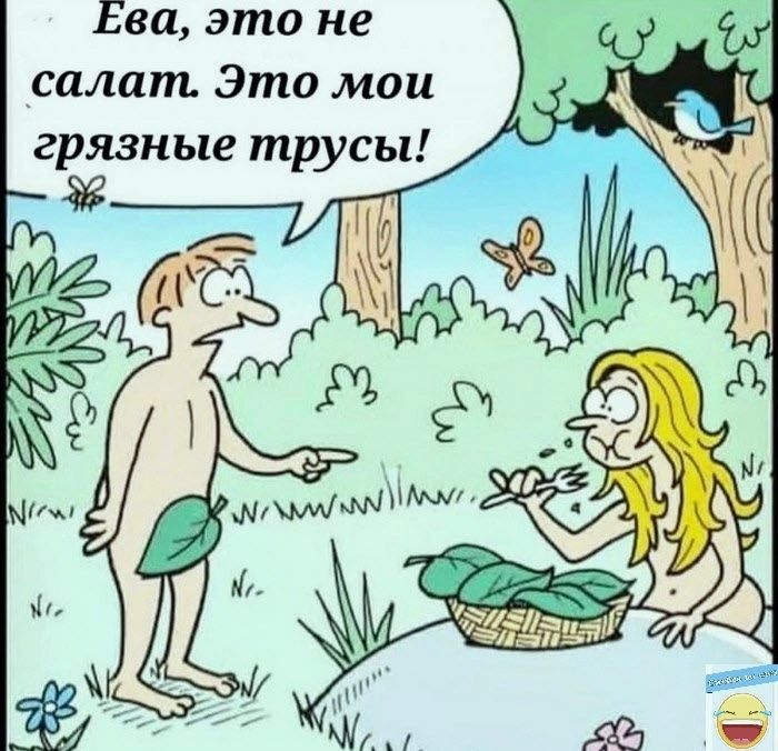 Ева это не салат Это мои грязные трусы