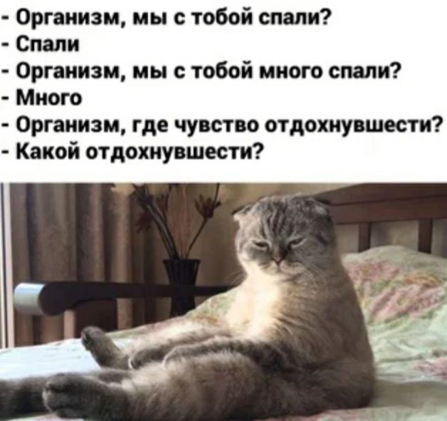Оргииизм мы с тобой сти Спит Организм мы с тобой много спали Много Организм где чувство отдохнувшести Какой отдохнувшести