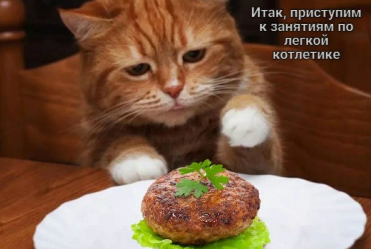 Ик приступим _ занятиям по псгиоп 1 7 А в