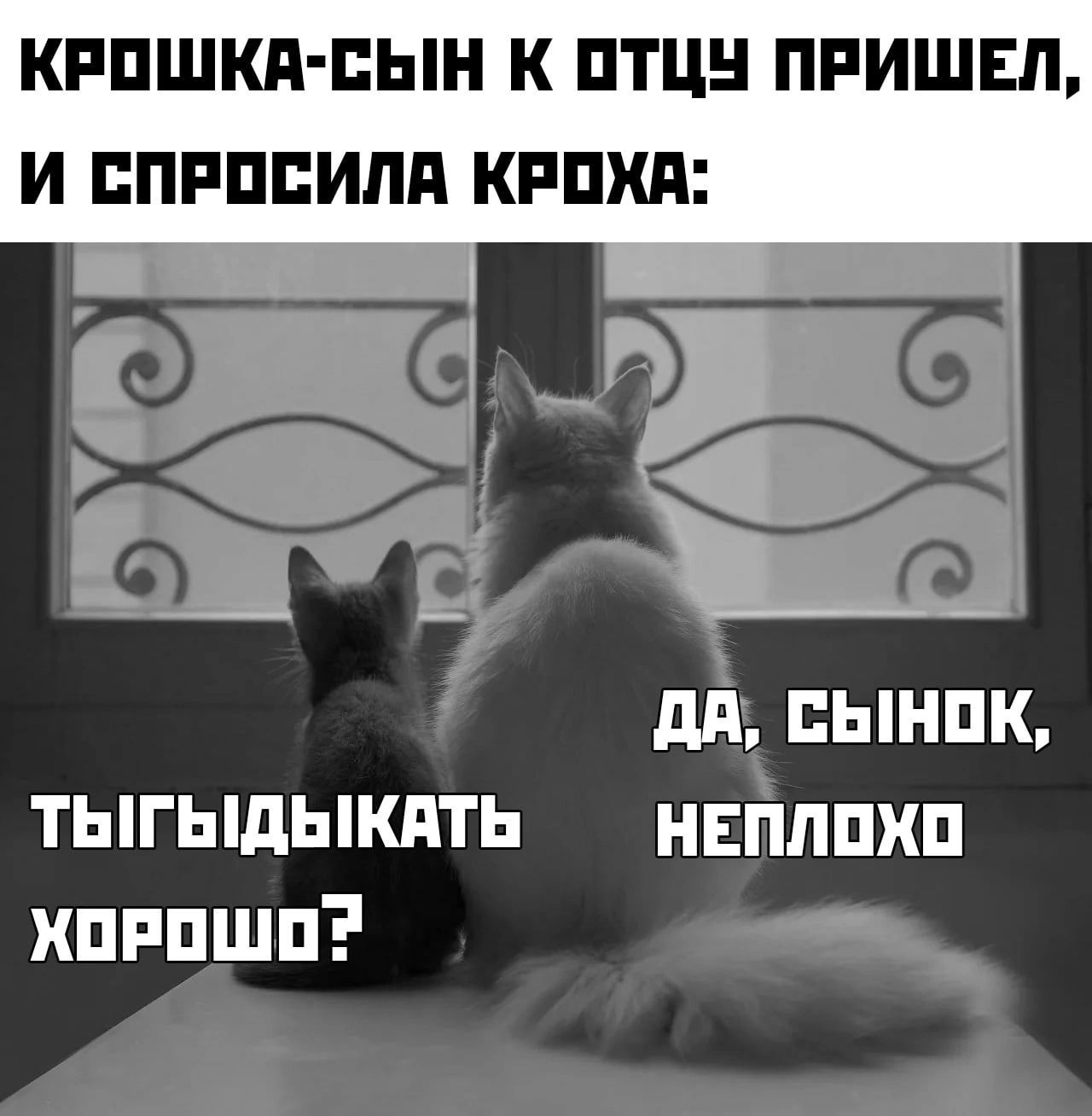 КРПШКд ПЫН К ПТЦН ПРИШЕЛ И ППРППИЛП КРПХП дій ынпк тыгыдыкдть нвйппхп хпппшп