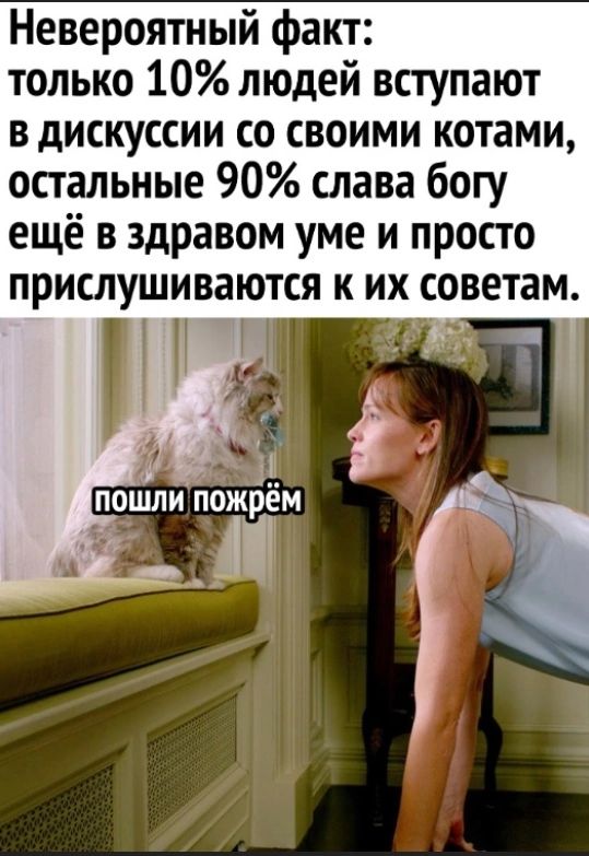 Невероятный факт только 10 людей вступают в дискуссии со своими котами остальные 90 слава богу ещё в здравом уме и просто прислушиваются к их советам