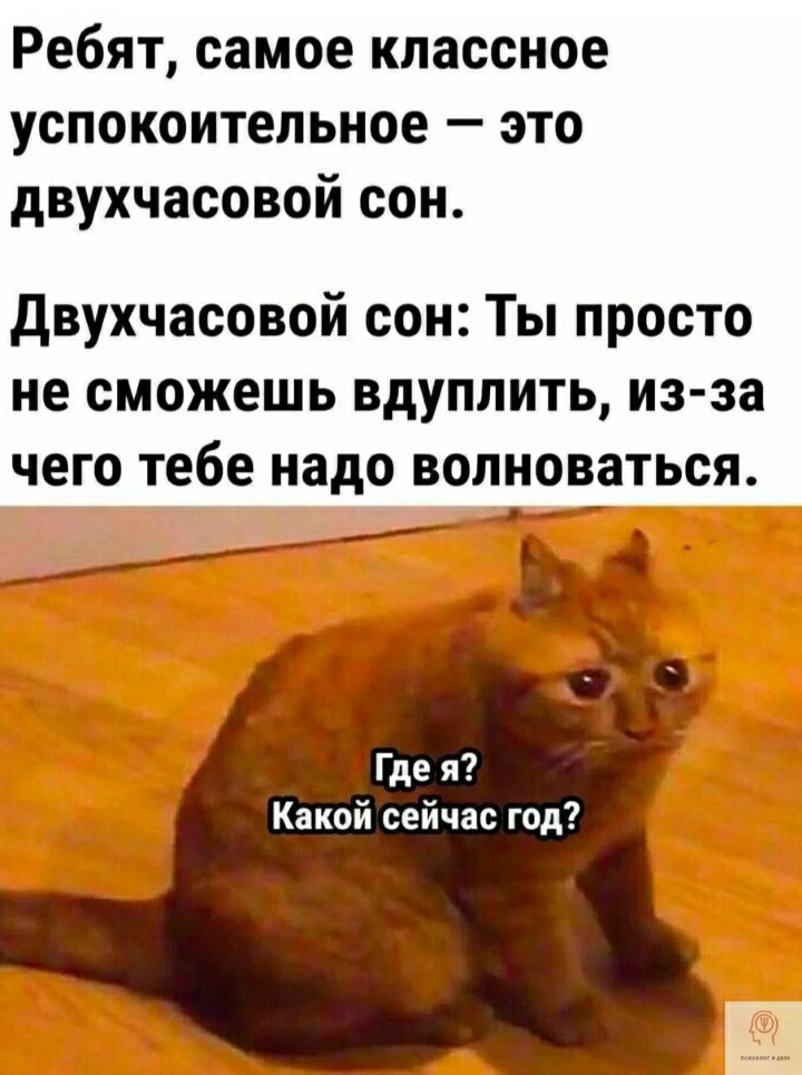 Ребят самое классное успокоительное это двухчасовой сон двухчасовой сон Ты просто не сможешь вдуплить из за чего тебе надо волноваться Какой сейчас год