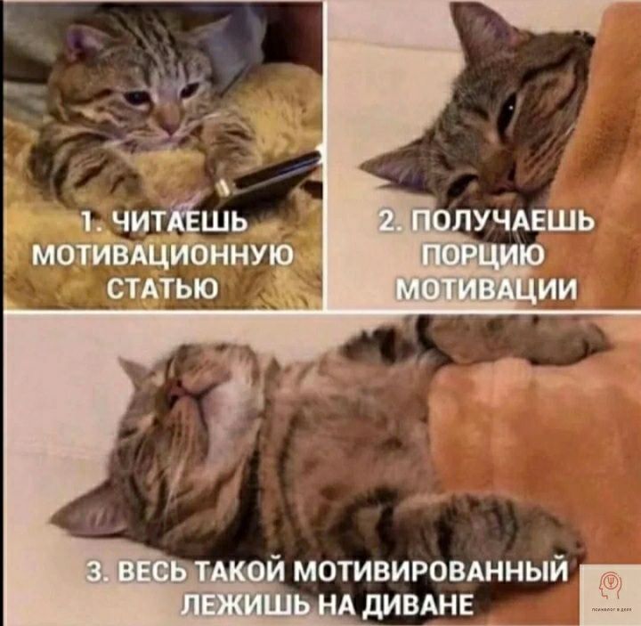 а і 1 читёшь мотигЩиЪ ину СТАТЬЮ мотивировянный дивднг _