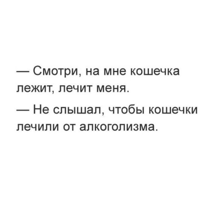 Смотри на мне кошечка лежит лечит меня Не слышал чтобы кошечки лечили от алкоголизма