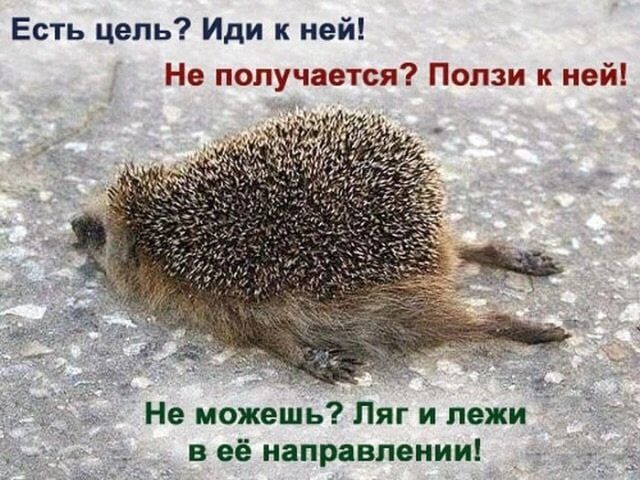Есть цепь Иди к ней Не получается Попзи к ней Не можешь Ляг и папки в её направлении