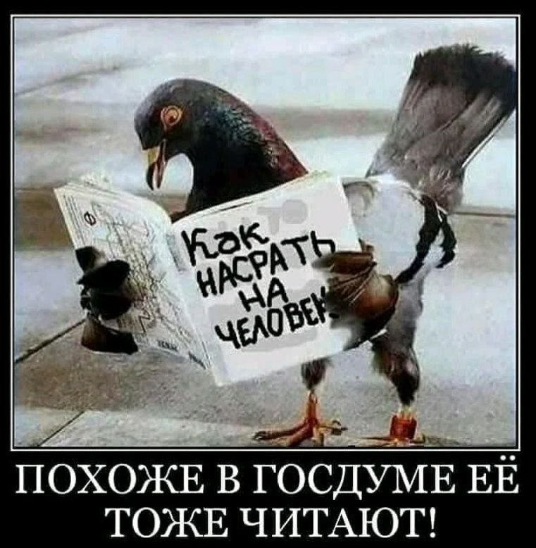 ТОЭКЕ ЧИТАЮТ