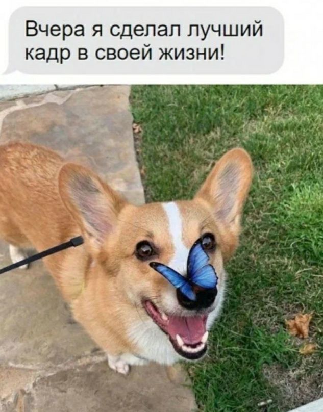 Вчера я сделал лучший кадр в своей жизни
