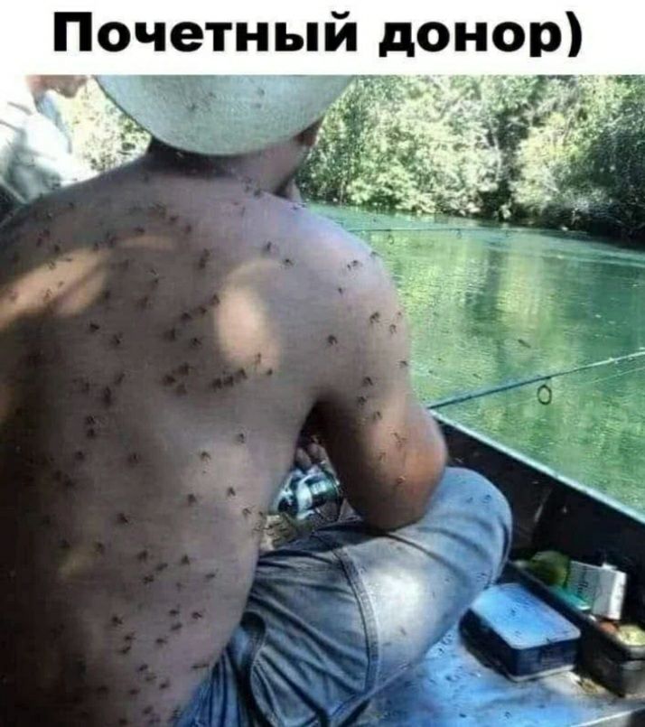 Почетный донор